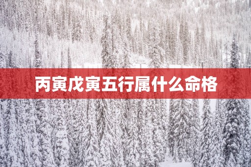 丙寅戊寅五行属什么命格