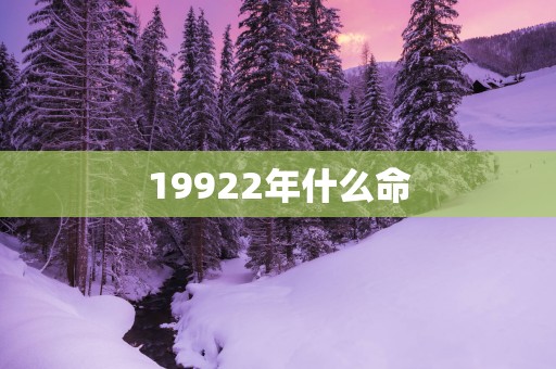 19922年什么命