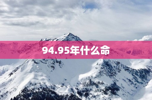 94.95年什么命