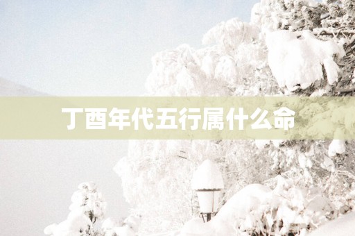 丁酉年代五行属什么命