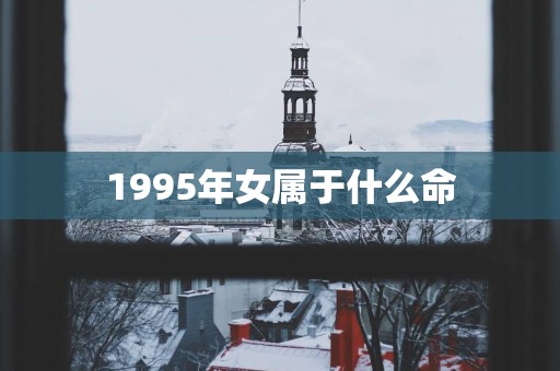 1995年女属于什么命