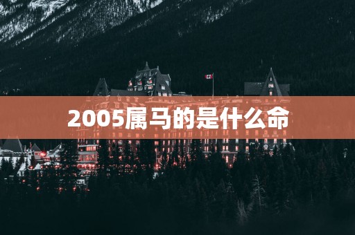 2005属马的是什么命