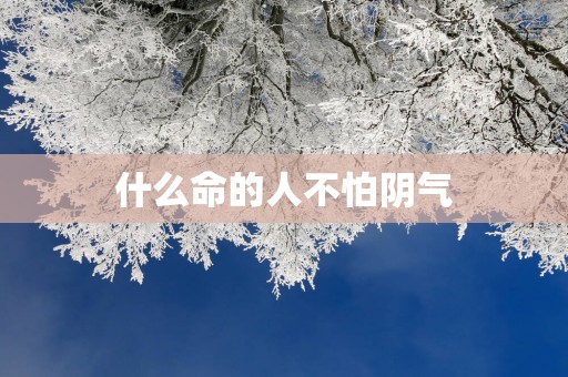 什么命的人不怕阴气