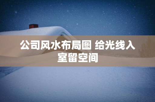 公司风水布局图 给光线入室留空间