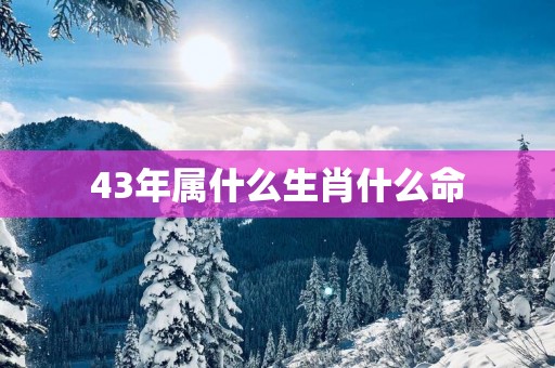43年属什么生肖什么命