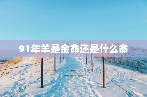 91年羊是金命还是什么命