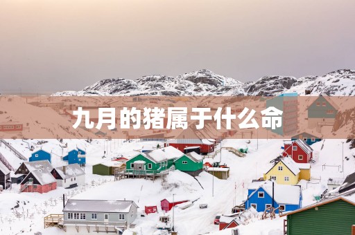 九月的猪属于什么命