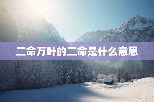 二命万叶的二命是什么意思