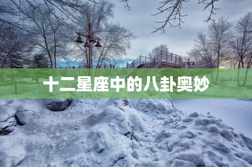 十二星座中的八卦奥妙