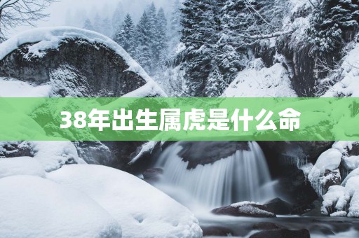 38年出生属虎是什么命