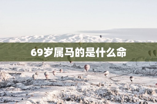 69岁属马的是什么命