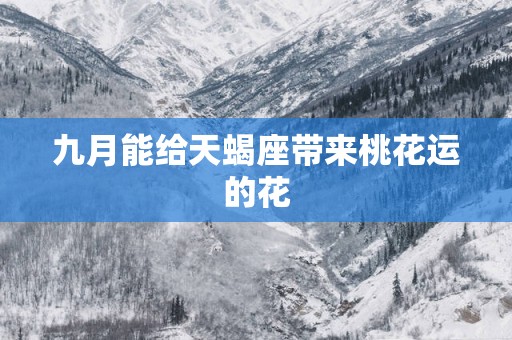 九月能给天蝎座带来桃花运的花