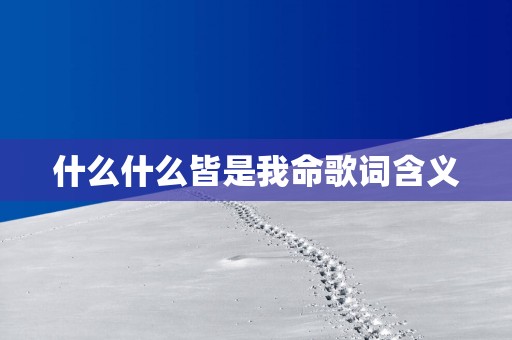什么什么皆是我命歌词含义