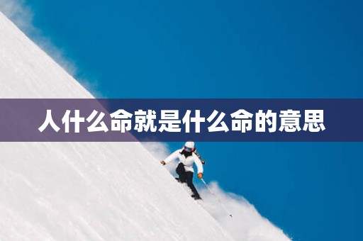 人什么命就是什么命的意思