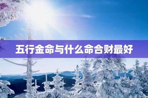 五行金命与什么命合财最好