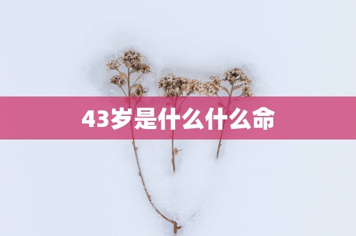 43岁是什么什么命