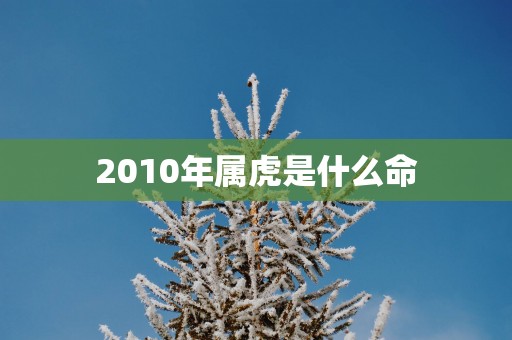2010年属虎是什么命