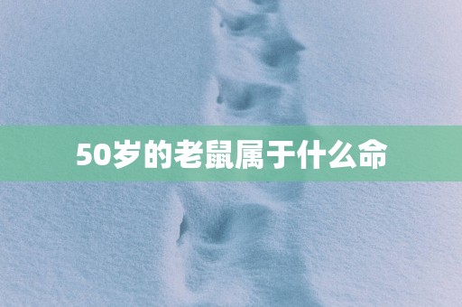 50岁的老鼠属于什么命