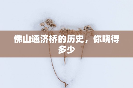 佛山通济桥的历史，你晓得多少