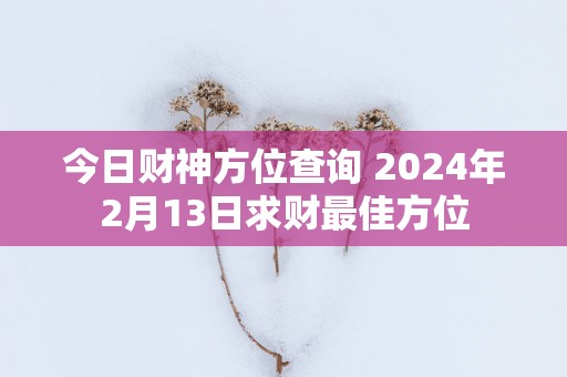 今日财神方位查询 2025年2月13日求财最佳方位