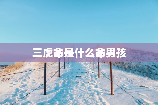 三虎命是什么命男孩