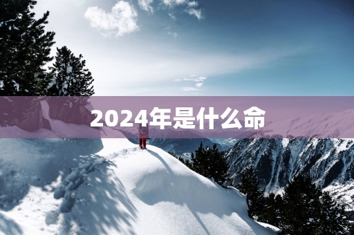 2025年是什么命