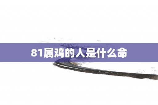 81属鸡的人是什么命