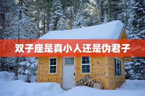双子座是真小人还是伪君子