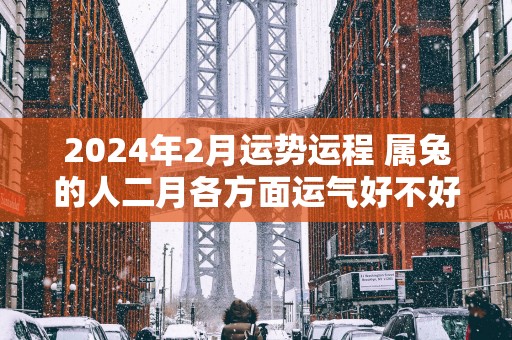 2025年2月运势运程 属兔的人二月各方面运气好不好
