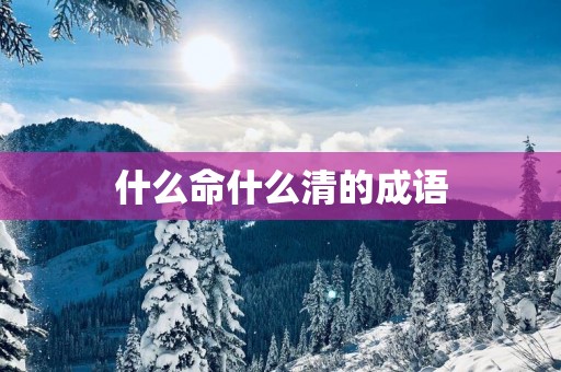 什么命什么清的成语