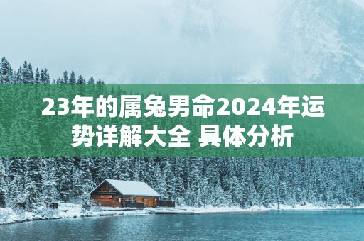 23年的属兔男命2025年运势详解大全 具体分析