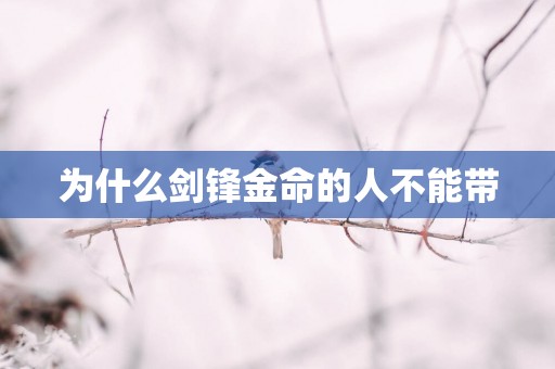 为什么剑锋金命的人不能带