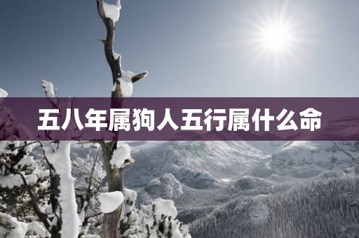 五八年属狗人五行属什么命