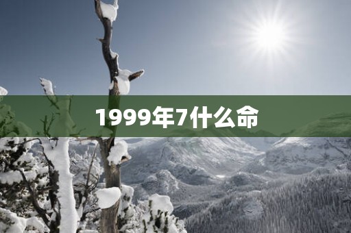 1999年7什么命