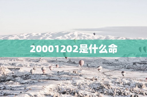 20001202是什么命