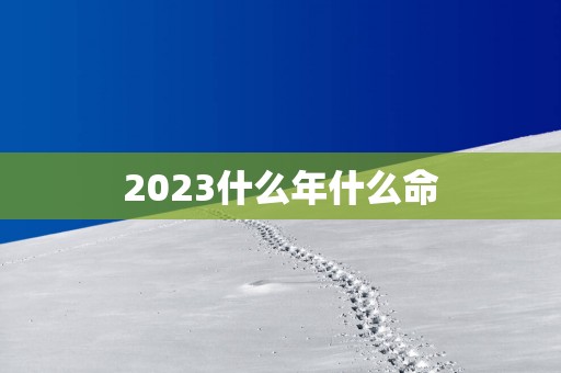 2025什么年什么命