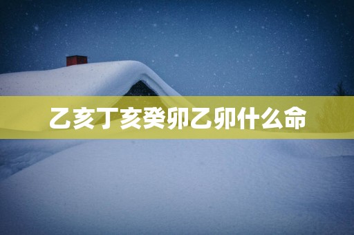 乙亥丁亥癸卯乙卯什么命