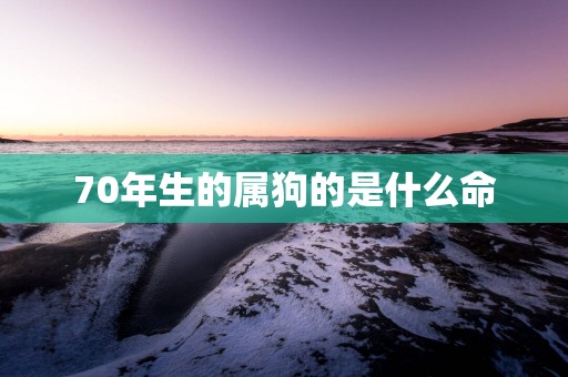 70年生的属狗的是什么命