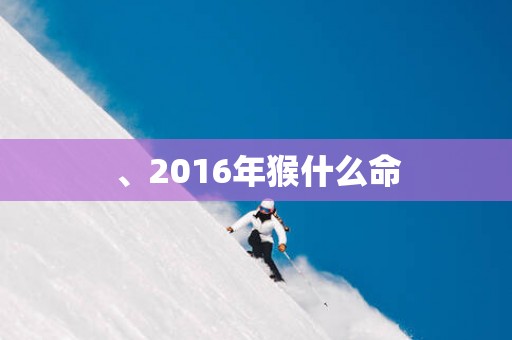 、2016年猴什么命 、2016年猴什么命