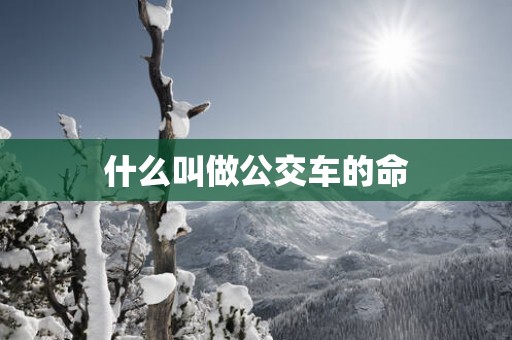 什么叫做公交车的命
