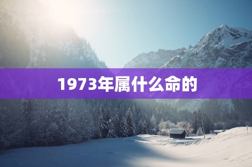1973年属什么命的