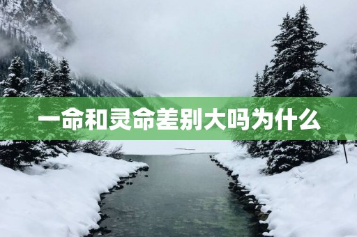 一命和灵命差别大吗为什么