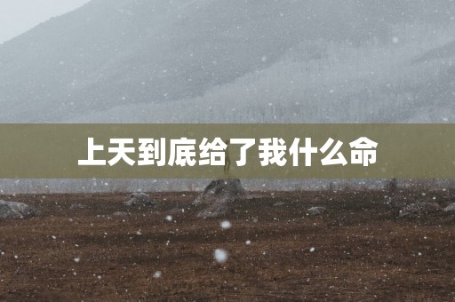上天到底给了我什么命