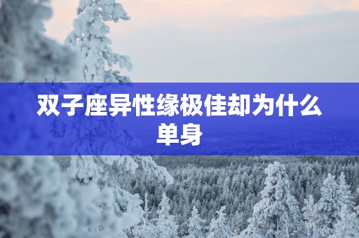 双子座异性缘极佳却为什么单身