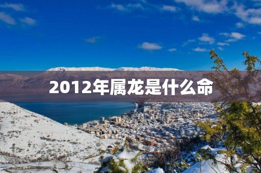 2012年属龙是什么命