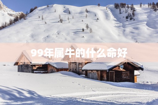 99年属牛的什么命好