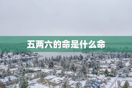 五两六的命是什么命