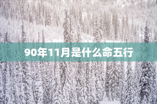 90年11月是什么命五行