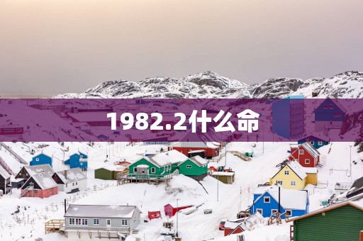 1982.2什么命