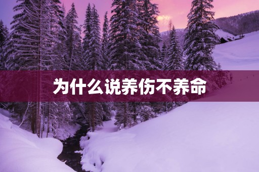 为什么说养伤不养命